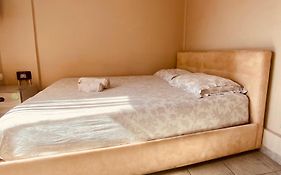 Elegant Studio In The Center Of City.